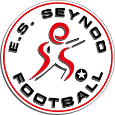 Logo Esseynod
